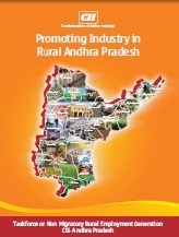 Promoting Industry in Rural Andhra Pradesh